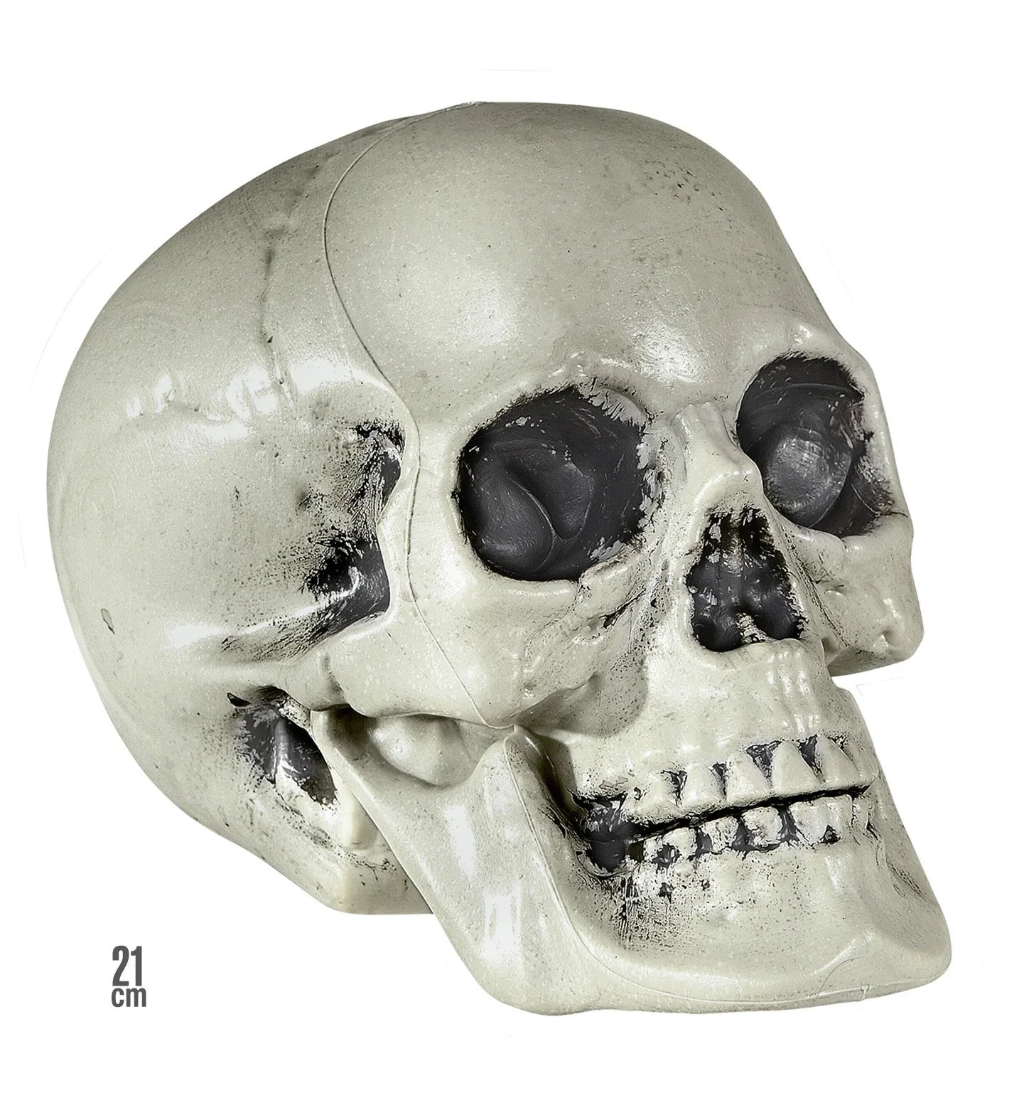 Calavera Decorativa Tamaño Real Halloween Widmann